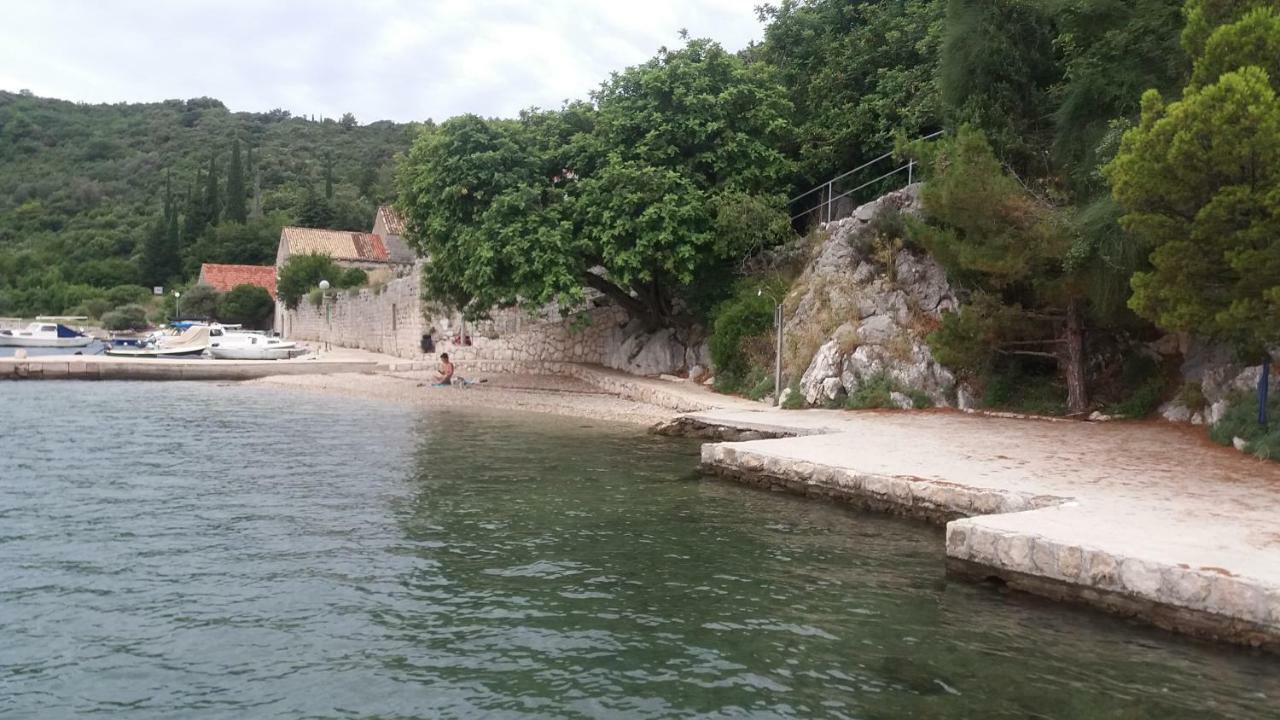 Vesna - Your Best Choice - 80 M From Beach Zaton  Luaran gambar