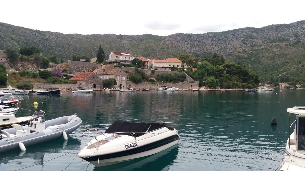 Vesna - Your Best Choice - 80 M From Beach Zaton  Luaran gambar