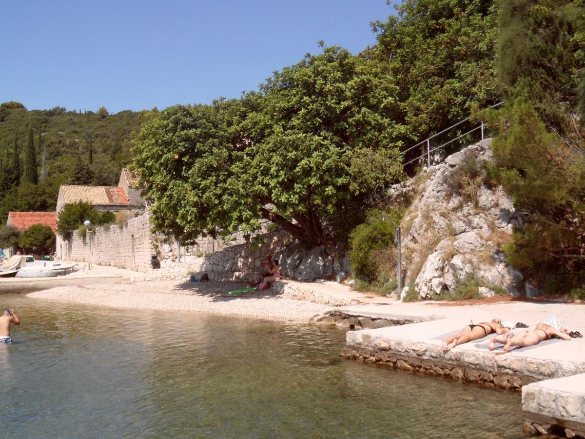 Vesna - Your Best Choice - 80 M From Beach Zaton  Luaran gambar